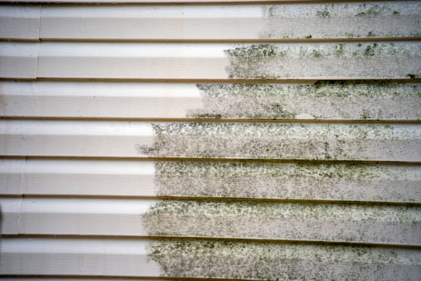 Best Residential Vinyl Siding Installation  in Cudahy, CA