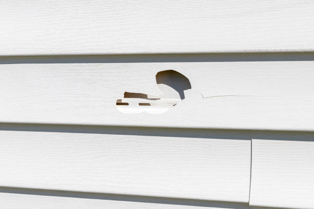 Trusted Cudahy, CA Siding Installation & Repair Experts