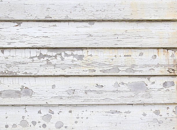 Best Storm Damage Siding Repair  in Cudahy, CA